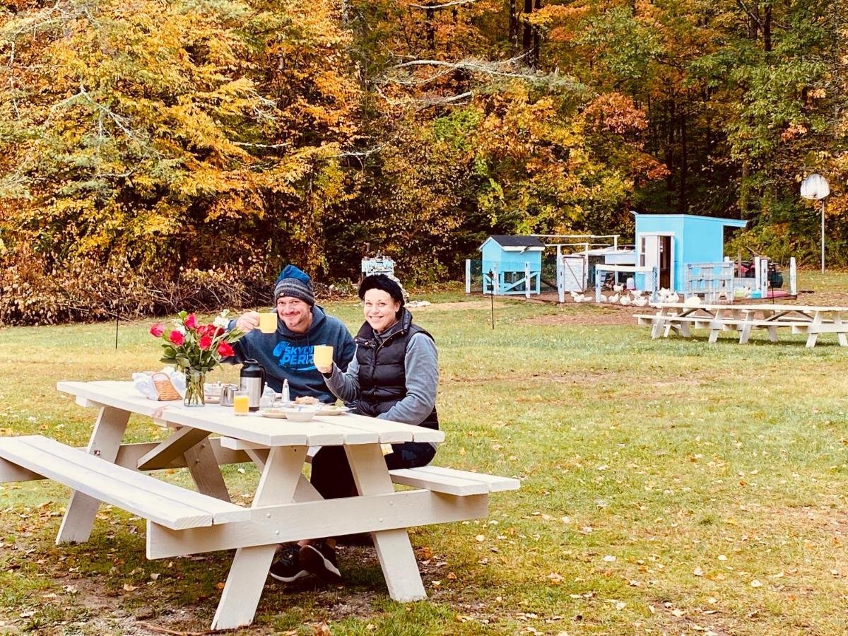 Arcady Mountain Motor Lodge Sunderland 外观 照片