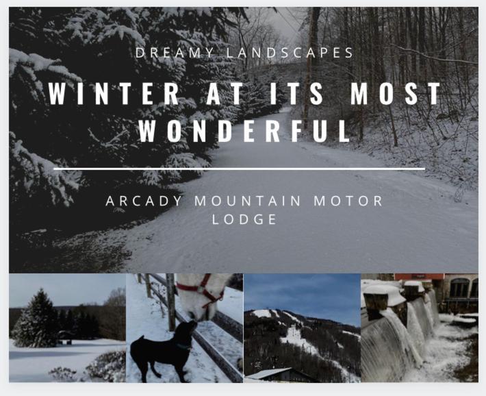 Arcady Mountain Motor Lodge Sunderland 外观 照片